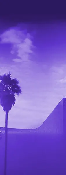 Police Background
